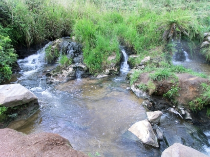waitomo (31)